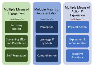 Lists of options for engagement, representation, and action and expression. Image description available.